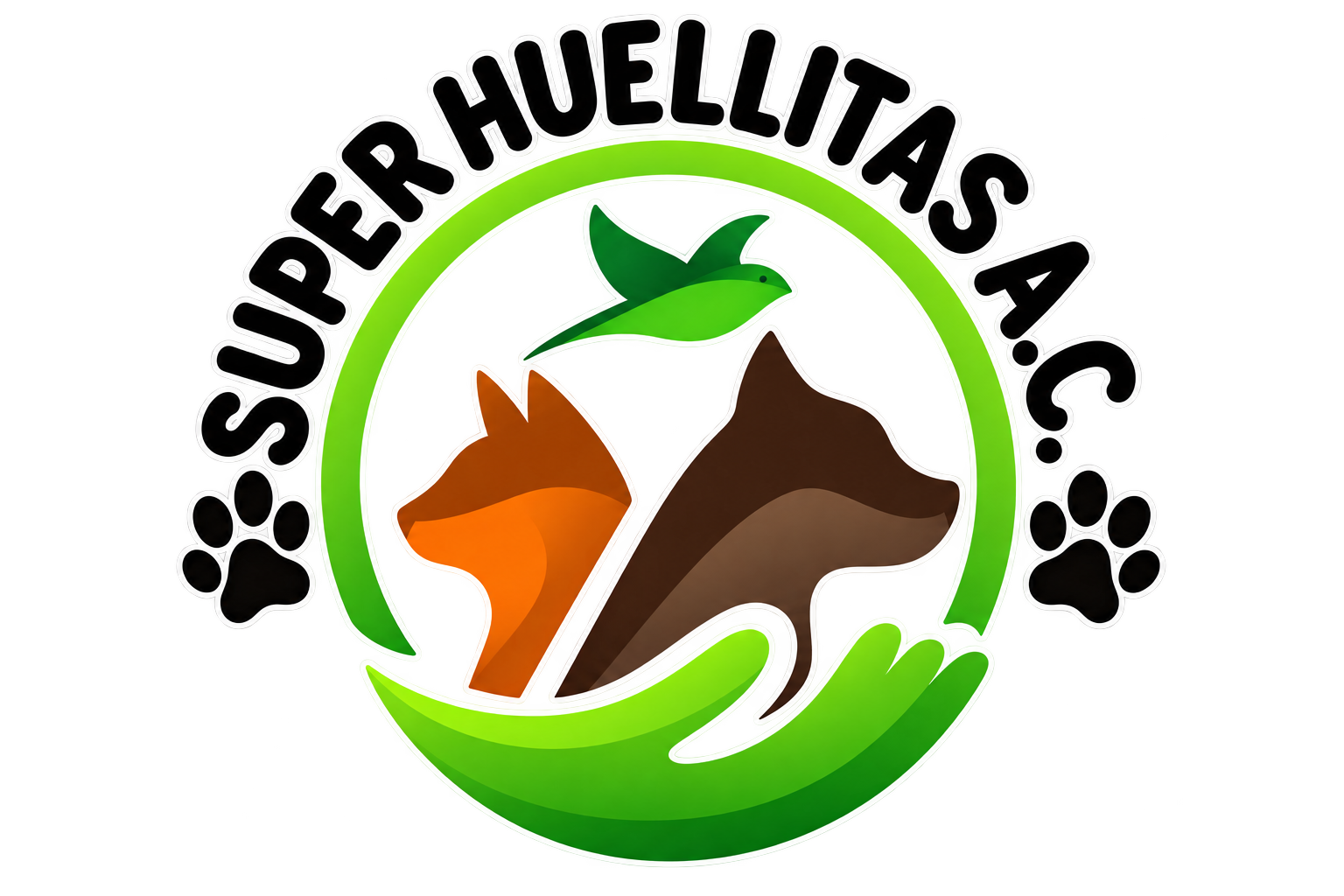 Superhuellitas